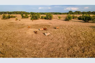 0 W Fm 344, Bullard, TX 75757 - Photo 5