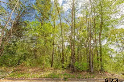 2864 S Robertson, Tyler, TX 75701 - Photo 33