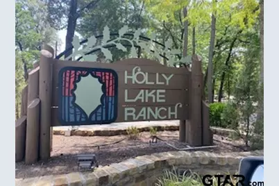 Tbd Lamplight Path, Holly Lake Ranch, TX 75765 - Photo 15