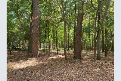 Tbd Lamplight Path, Holly Lake Ranch, TX 75765 - Photo 1