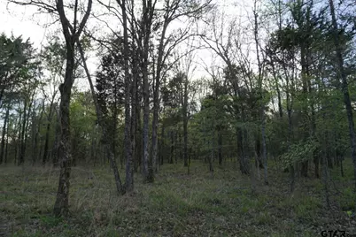 01 Private Rd 5401, Malakoff, TX 75148 - Photo 15