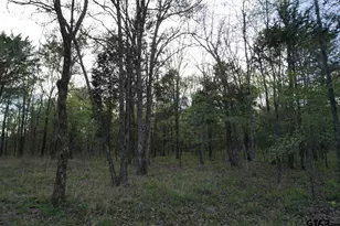 01 Private Rd 5401, Malakoff, TX 75148 - Photo 15