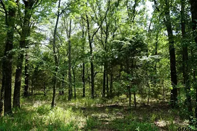 01 Private Rd 5401, Malakoff, TX 75148 - Photo 27