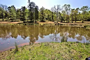 998 County Rd 311, Tyler, TX 75706 - Photo 33