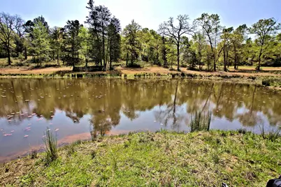 998 County Road 311, Tyler, TX 75706 - Photo 33