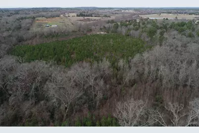 4557 Elderberry, Gilmer, TX 75644 - Photo 19