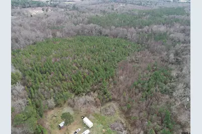 4557 Elderberry, Gilmer, TX 75644 - Photo 9