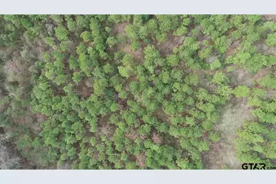 4557 Elderberry, Gilmer, TX 75644 - Photo 23