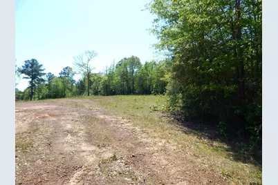 Tbd 15 Acres Fm 1795 Side 1, Big Sandy, TX 75755 - Photo 7
