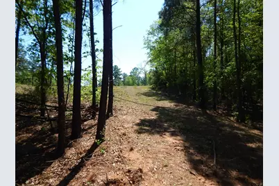 Tbd 15 Acres Fm 1795 Side 1, Big Sandy, TX 75755 - Photo 11