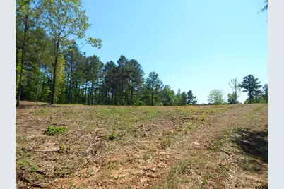 Tbd 15 Acres Fm 1795 Side 1, Big Sandy, TX 75755 - Photo 5