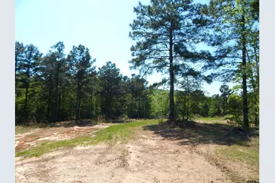Tbd 15 Acres Fm 1795 Side 2, Big Sandy, TX 75755 - Photo 15