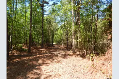 Tbd 15 Acres Fm 1795 Side 2, Big Sandy, TX 75755 - Photo 3