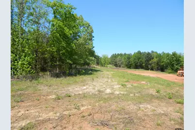 Tbd 15 Acres Fm 1795 Side 2, Big Sandy, TX 75755 - Photo 13