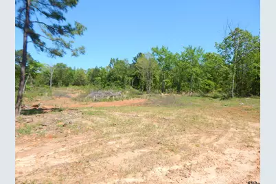 Tbd 15 Acres Fm 1795 Side 2, Big Sandy, TX 75755 - Photo 1