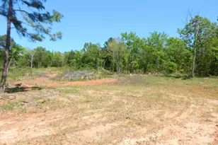 Tbd 15 Acres Fm 1795 Side 2, Big Sandy, TX 75755 - Photo 1
