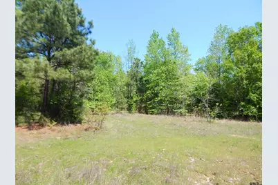 Tbd 15 Acres Fm 1795 Side 2, Big Sandy, TX 75755 - Photo 11