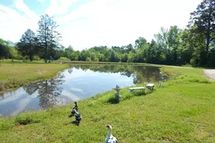 6620 Fm 1795, Gilmer, TX 75644 - Photo 5