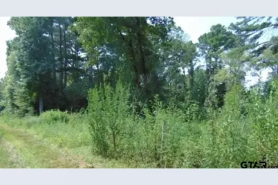 260 Chelsea Lane, Bullard, TX 75757 - Photo 3