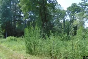 260 Chelsea Ln, Bullard, TX 75757 - Photo 3