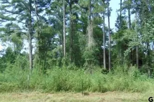 260 Chelsea Ln, Bullard, TX 75757 - Photo 1