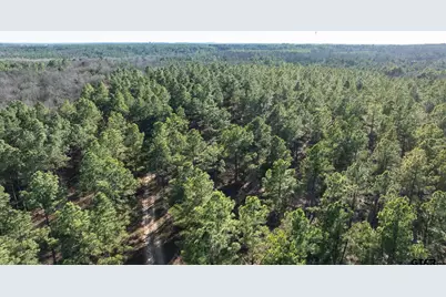 South Tract Fm 279 #2, Ben Wheeler, TX 75754 - Photo 23