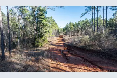 South Tract Fm 279 #2, Ben Wheeler, TX 75754 - Photo 29