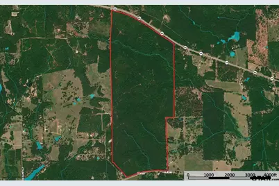 South Tract Fm 279 #2, Ben Wheeler, TX 75754 - Photo 3