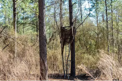 South Tract Fm 279 #2, Ben Wheeler, TX 75754 - Photo 7