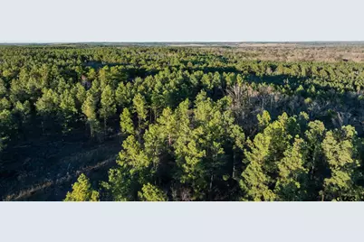 South Tract Fm 279 #2, Ben Wheeler, TX 75754 - Photo 27