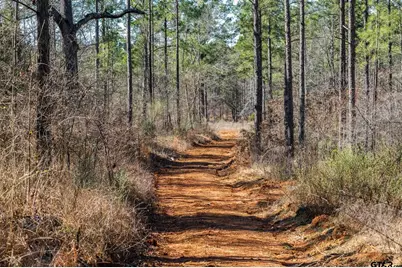 000 Hwy 64 #3, Ben Wheeler, TX 75754 - Photo 5