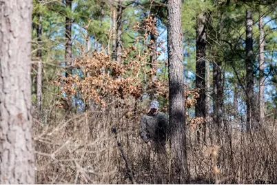 000 Hwy 64 #3, Ben Wheeler, TX 75754 - Photo 15
