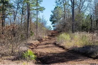 000 Hwy 64 #3, Ben Wheeler, TX 75754 - Photo 9