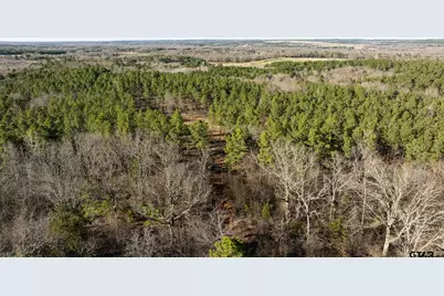 000 Hwy 64 #3, Ben Wheeler, TX 75754 - Photo 21