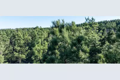 000 Hwy 64 #3, Ben Wheeler, TX 75754 - Photo 27