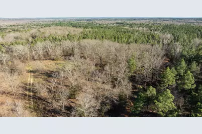 000 Hwy 64 #3, Ben Wheeler, TX 75754 - Photo 23