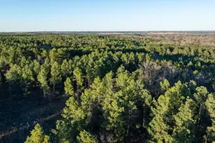 000 Hwy 64, Ben Wheeler, TX 75754 - Photo 1