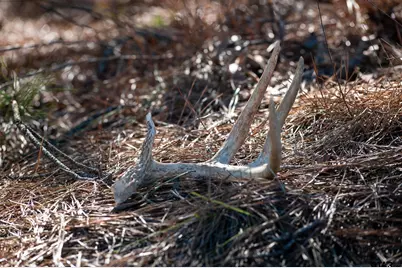000 Hwy 64 #3, Ben Wheeler, TX 75754 - Photo 17