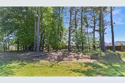 4215 Chapel Quarters, Tyler, TX 75707 - Photo 3