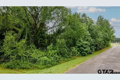 Lot 46 Pr 7011, Frankston, TX 75763 - Photo 3