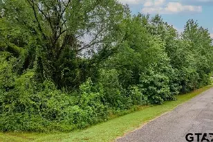 Lot 46 Pr 7011, Frankston, TX 75763 - Photo 3