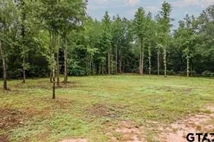 Lot 50 Pr 7011, Frankston, TX 75763 - Photo 1