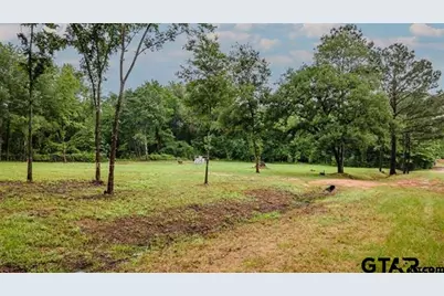 Lot 50 Pr 7011, Frankston, TX 75763 - Photo 3