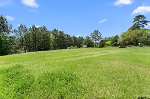 21566 Cr 294, Arp, TX 75750 - Photo 35