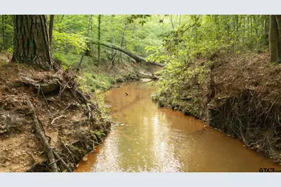 14221 Pine Overlook Dr, Flint, TX 75762 - Photo 17