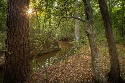 14221 Pine Overlook Dr, Flint, TX 75762 - Photo 1