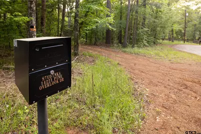 14221 Pine Overlook Dr, Flint, TX 75762 - Photo 3