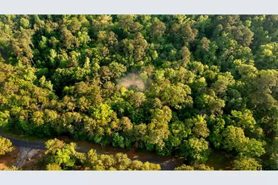 14221 Pine Overlook Dr, Flint, TX 75762 - Photo 19