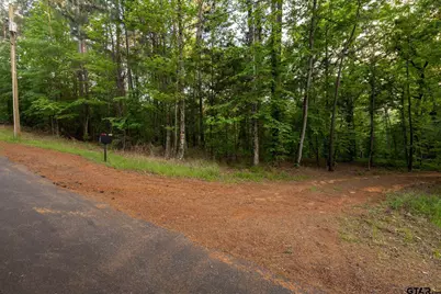 14221 Pine Overlook Dr, Flint, TX 75762 - Photo 23