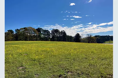 Lot 49 White Oak Creek Ranch, Big Sandy, TX 75755 - Photo 9